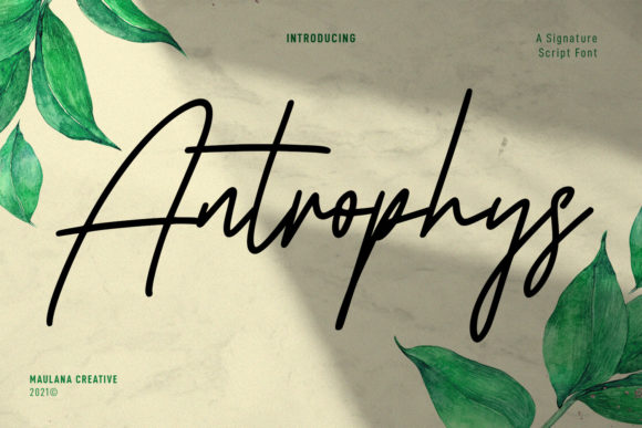 Antrophys Script: A Designer’s Practical Review