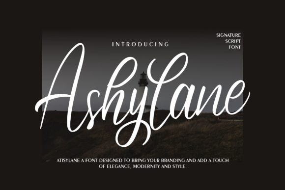 Ashylane Script: The Elegant Font for Your Brand