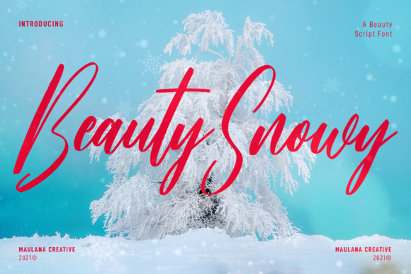 Beauty Snowy Script Font for Crafters