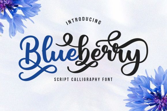 Blueberry Script: A Modern Typeface for Digital Brands