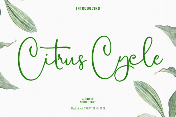 Citrus Cycle Script: A Designer’s Honest Review