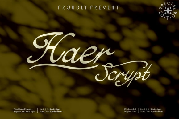 Haer Script: A Premium Typeface for Clear Campaigns