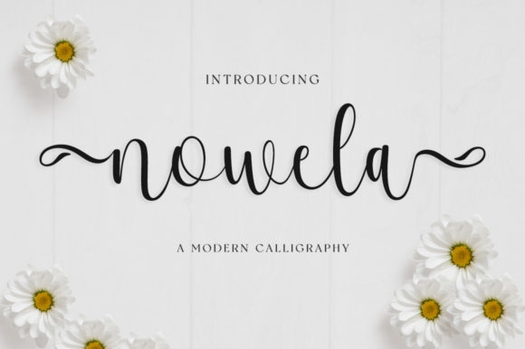Nowela Script: A Handwritten Font for Clear Campaigns
