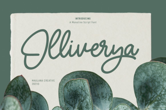 Olliverya Script: A Designer’s Practical Review