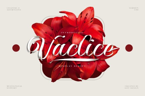 Vaclice Script: A Handwritten Font for Branding